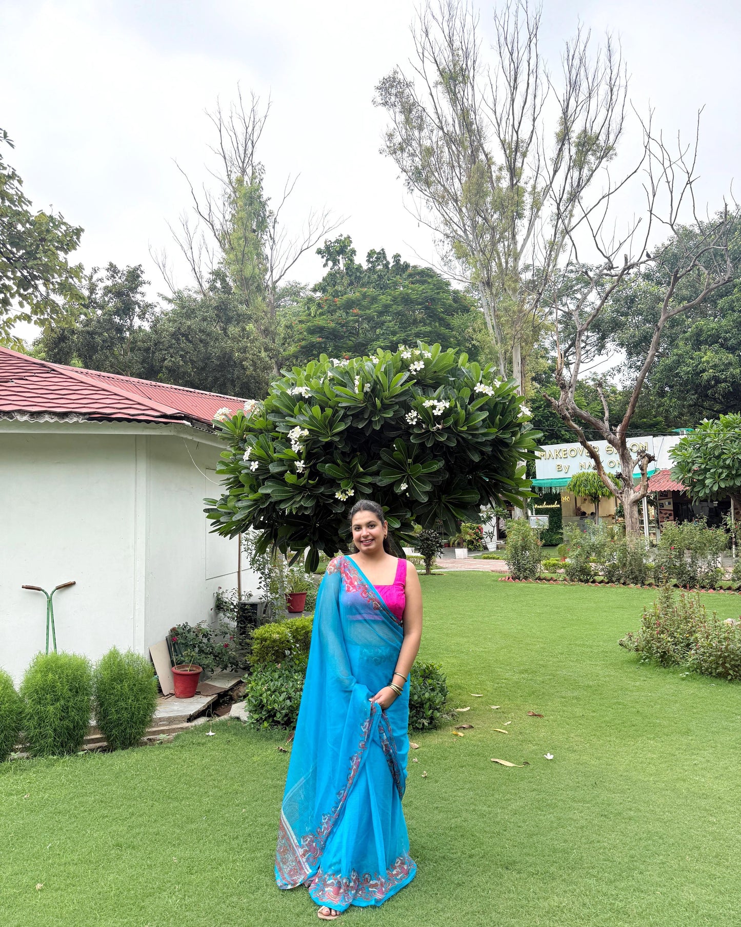 Tarani: Blue Printed Pure Chiffon Saree