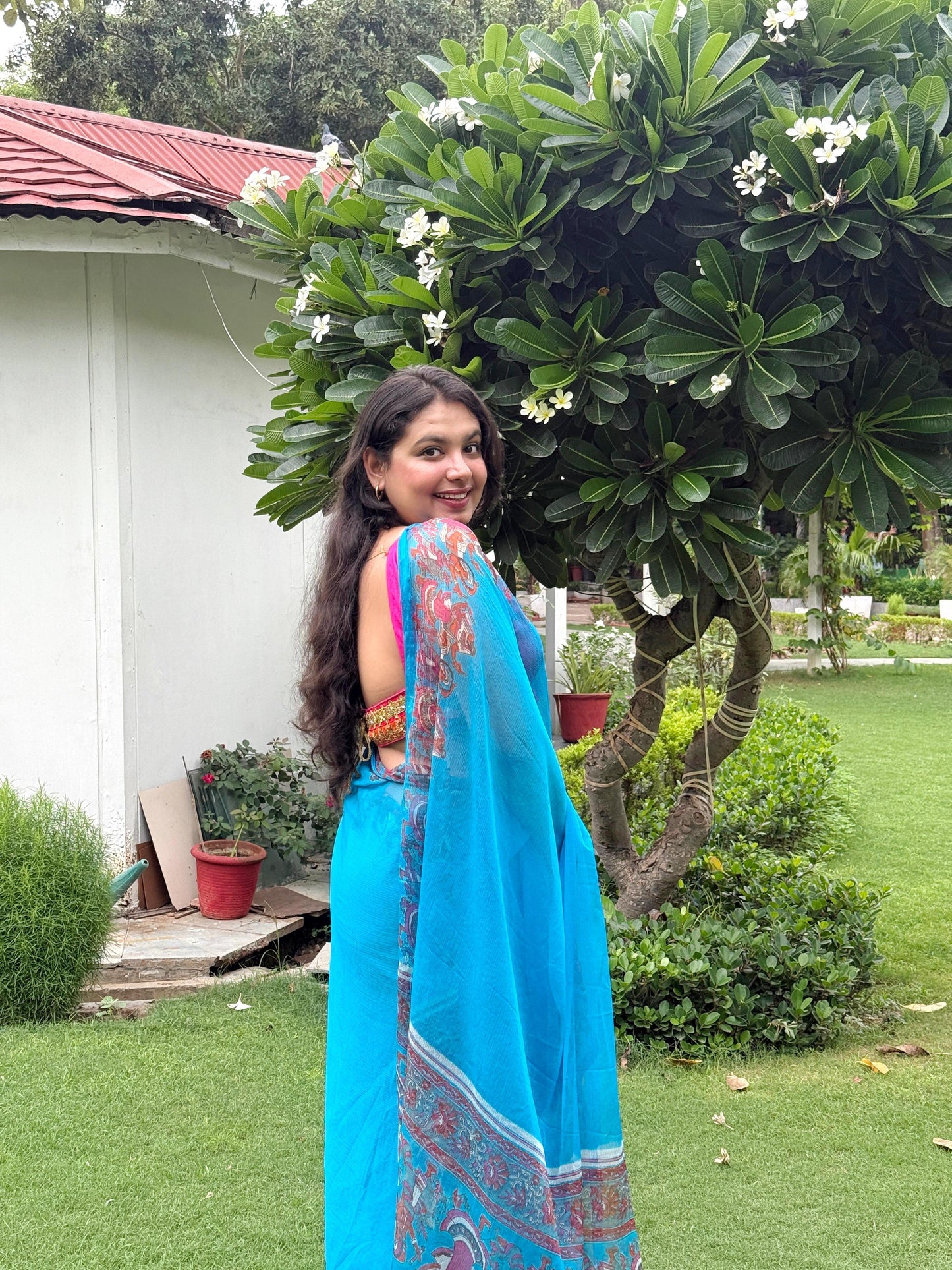 Tarani: Blue Printed Pure Chiffon Saree