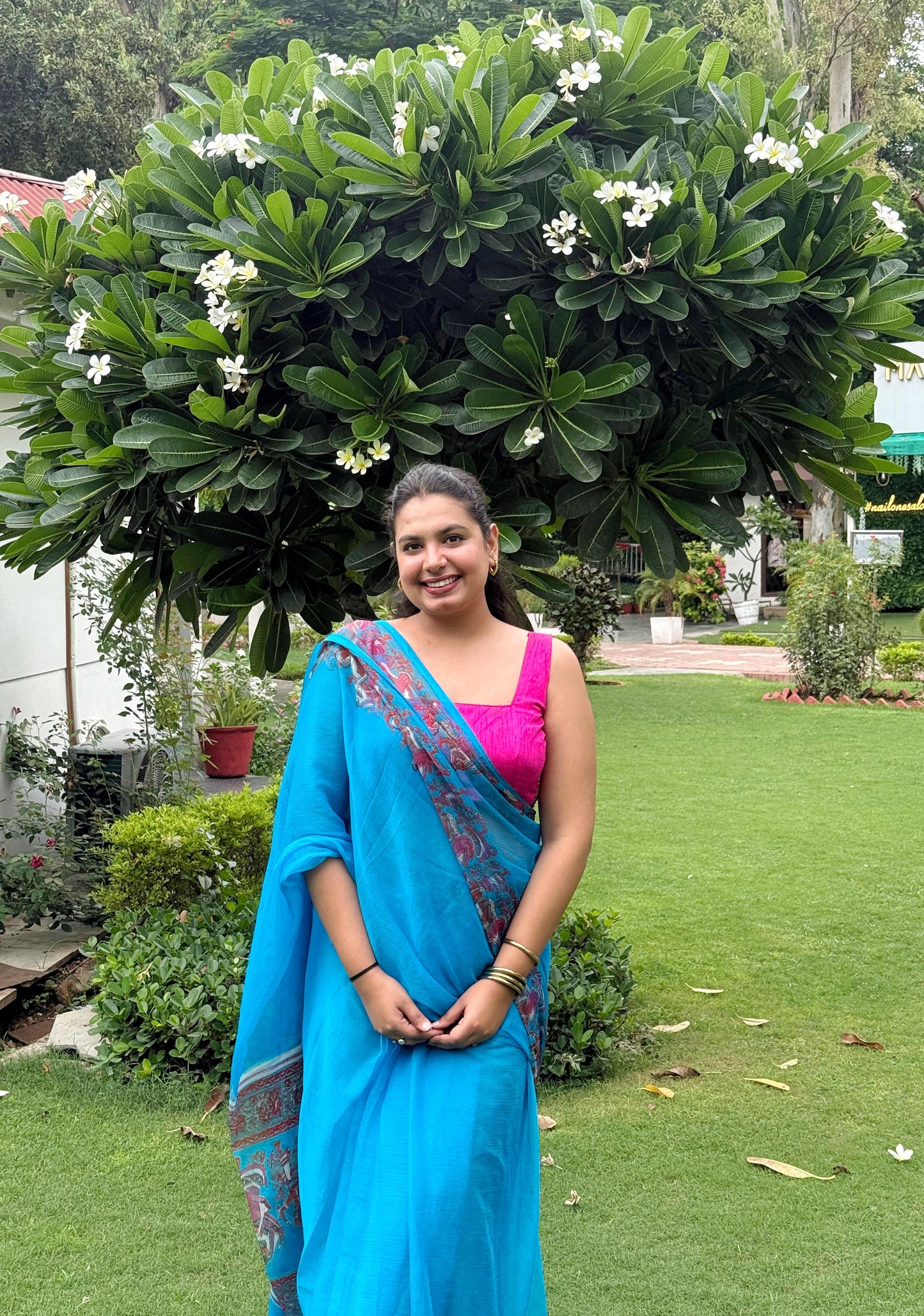 Tarani: Blue Printed Pure Chiffon Saree